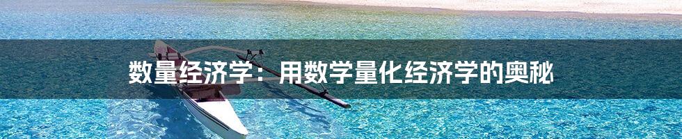 数量经济学：用数学量化经济学的奥秘