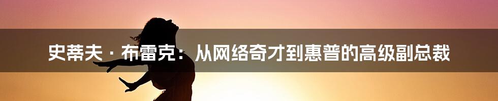 史蒂夫·布雷克：从网络奇才到惠普的高级副总裁