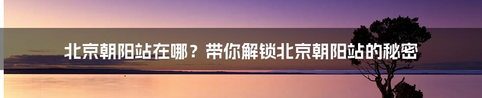 北京朝阳站在哪？带你解锁北京朝阳站的秘密