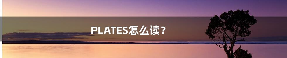 PLATES怎么读？