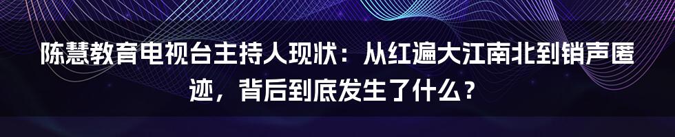 陈慧教育电视台主持人现状：从红遍大江南北到销声匿迹，背后到底发生了什么？