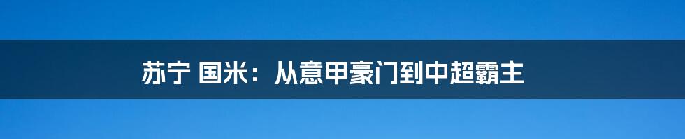 苏宁 国米：从意甲豪门到中超霸主