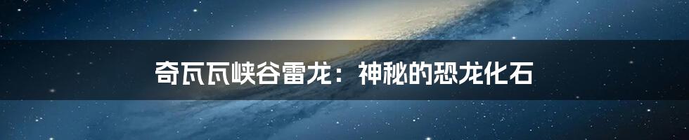 奇瓦瓦峡谷雷龙：神秘的恐龙化石