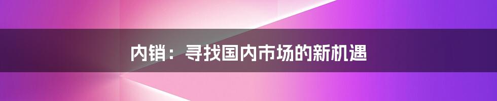 内销：寻找国内市场的新机遇