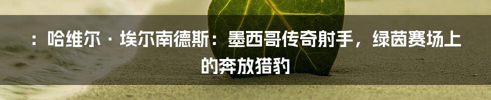 ：哈维尔·埃尔南德斯：墨西哥传奇射手，绿茵赛场上的奔放猎豹