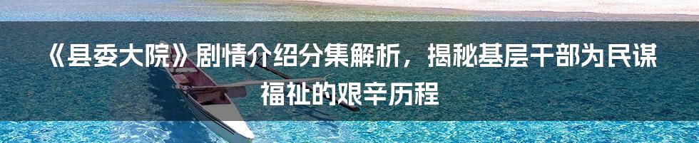 《县委大院》剧情介绍分集解析，揭秘基层干部为民谋福祉的艰辛历程