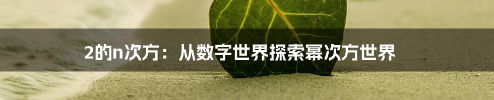 2的n次方：从数字世界探索幂次方世界