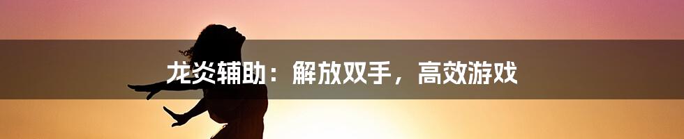 龙炎辅助：解放双手，高效游戏