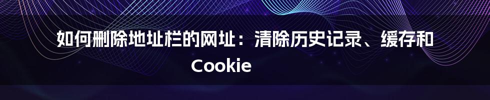 如何删除地址栏的网址：清除历史记录、缓存和 Cookie