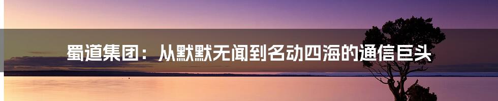 蜀道集团：从默默无闻到名动四海的通信巨头