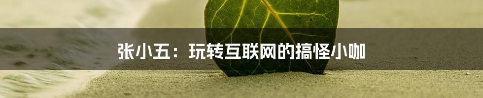 张小五：玩转互联网的搞怪小咖