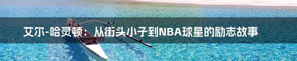 艾尔-哈灵顿：从街头小子到NBA球星的励志故事