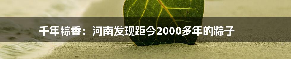 千年粽香：河南发现距今2000多年的粽子