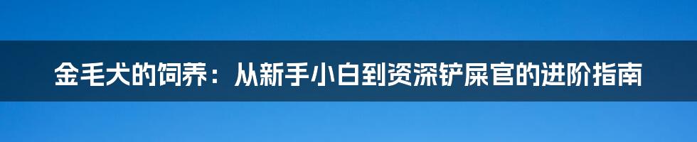 金毛犬的饲养：从新手小白到资深铲屎官的进阶指南