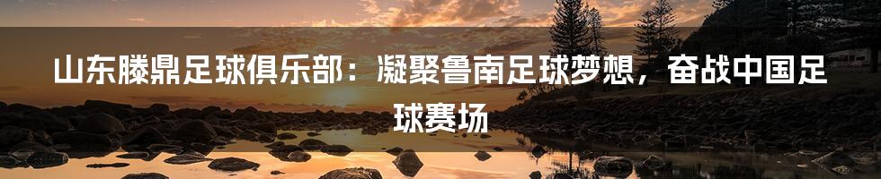 山东滕鼎足球俱乐部：凝聚鲁南足球梦想，奋战中国足球赛场