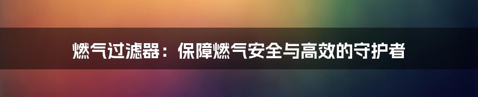 燃气过滤器：保障燃气安全与高效的守护者