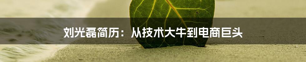 刘光磊简历：从技术大牛到电商巨头