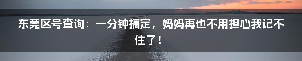 东莞区号查询：一分钟搞定，妈妈再也不用担心我记不住了！