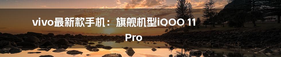 vivo最新款手机：旗舰机型iQOO 11 Pro