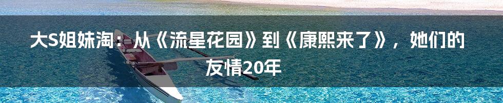 大S姐妹淘：从《流星花园》到《康熙来了》，她们的友情20年