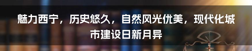 魅力西宁，历史悠久，自然风光优美，现代化城市建设日新月异