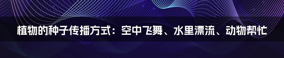 植物的种子传播方式：空中飞舞、水里漂流、动物帮忙