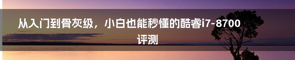 从入门到骨灰级，小白也能秒懂的酷睿i7-8700评测