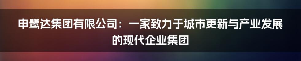 申鹭达集团有限公司：一家致力于城市更新与产业发展的现代企业集团