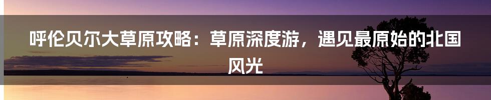 呼伦贝尔大草原攻略：草原深度游，遇见最原始的北国风光