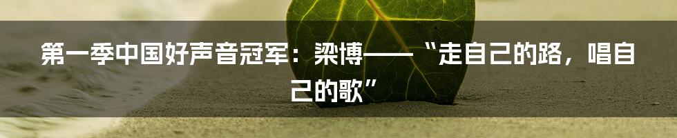 第一季中国好声音冠军：梁博——“走自己的路，唱自己的歌”