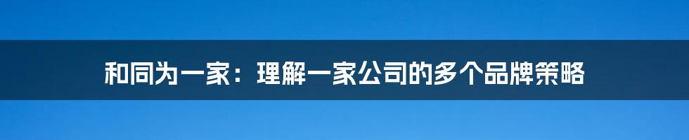 和同为一家：理解一家公司的多个品牌策略