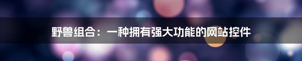 野兽组合：一种拥有强大功能的网站控件