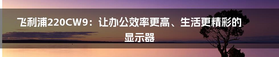 飞利浦220CW9：让办公效率更高、生活更精彩的显示器