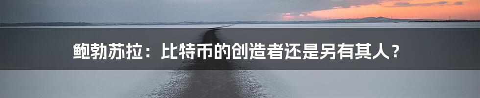 鲍勃苏拉：比特币的创造者还是另有其人？