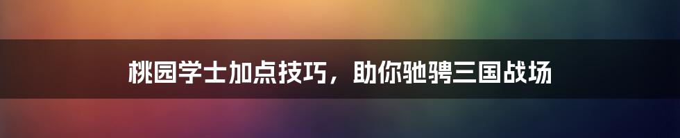 桃园学士加点技巧，助你驰骋三国战场