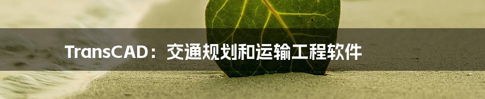 TransCAD：交通规划和运输工程软件