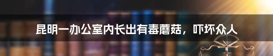 昆明一办公室内长出有毒蘑菇，吓坏众人