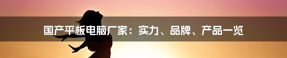 国产平板电脑厂家：实力、品牌、产品一览