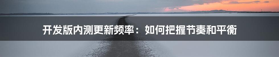 开发版内测更新频率：如何把握节奏和平衡