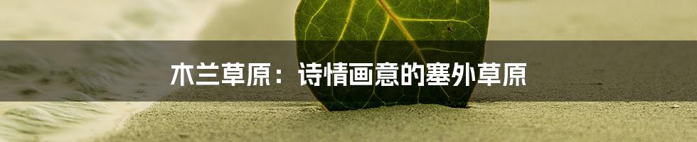 木兰草原：诗情画意的塞外草原