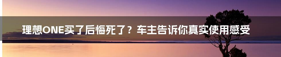 理想ONE买了后悔死了？车主告诉你真实使用感受