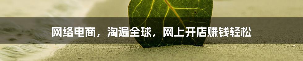 网络电商，淘遍全球，网上开店赚钱轻松