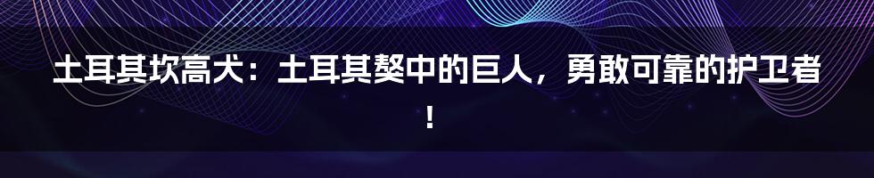 土耳其坎高犬：土耳其獒中的巨人，勇敢可靠的护卫者！