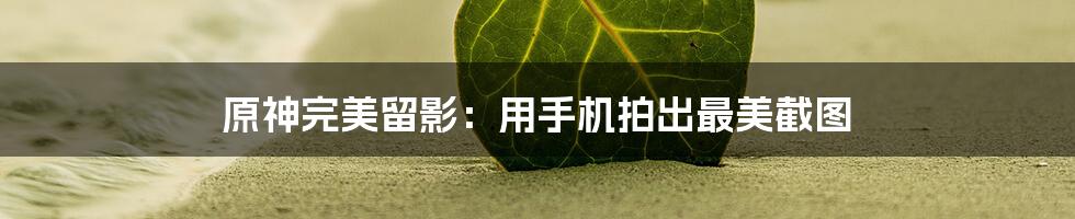 原神完美留影：用手机拍出最美截图