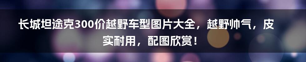 长城坦途克300价越野车型图片大全，越野帅气，皮实耐用，配图欣赏！