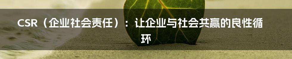 CSR（企业社会责任）：让企业与社会共赢的良性循环