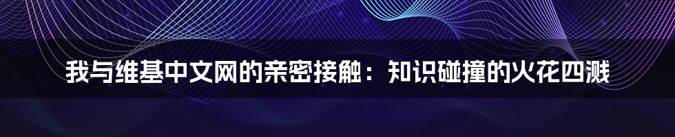 我与维基中文网的亲密接触：知识碰撞的火花四溅