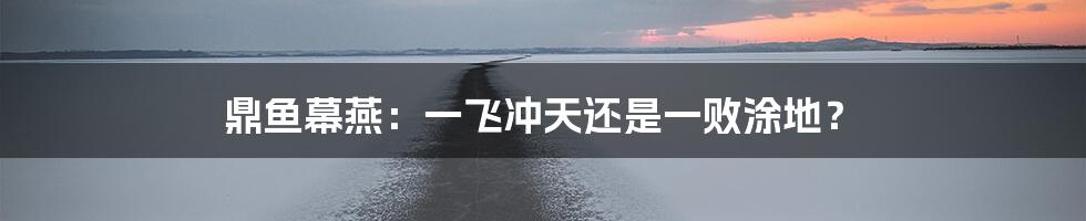 鼎鱼幕燕：一飞冲天还是一败涂地？