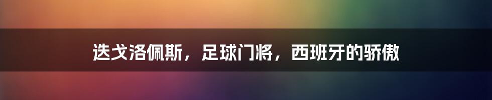 迭戈洛佩斯，足球门将，西班牙的骄傲