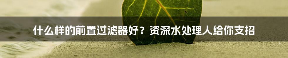 什么样的前置过滤器好？资深水处理人给你支招